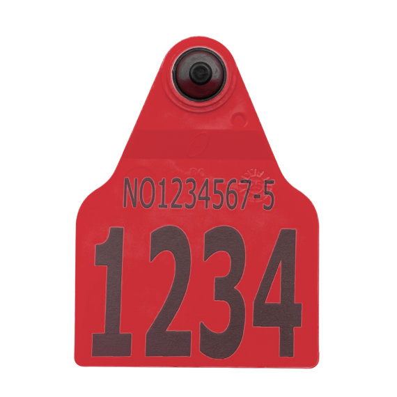 Visuelt F9Z flaggøremerke, hulldel