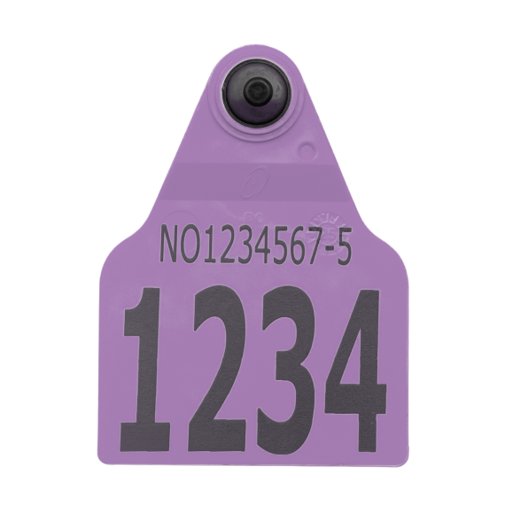 Visuelt F9Z flaggøremerke, hulldel