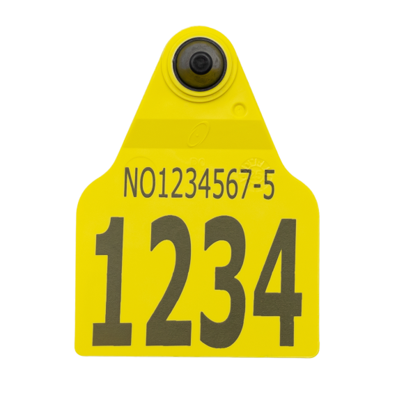 Visuelt F9Z flaggøremerke, hulldel