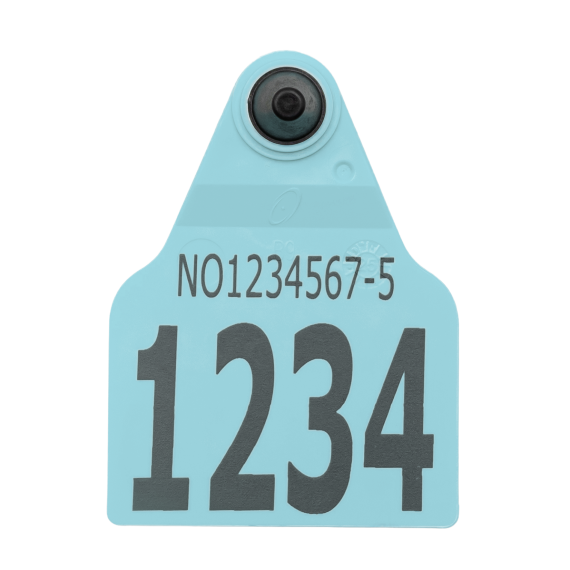 Visuelt F9Z flaggøremerke, hulldel