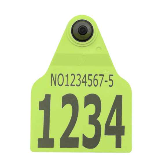 Visuelt F9Z flaggøremerke, hulldel