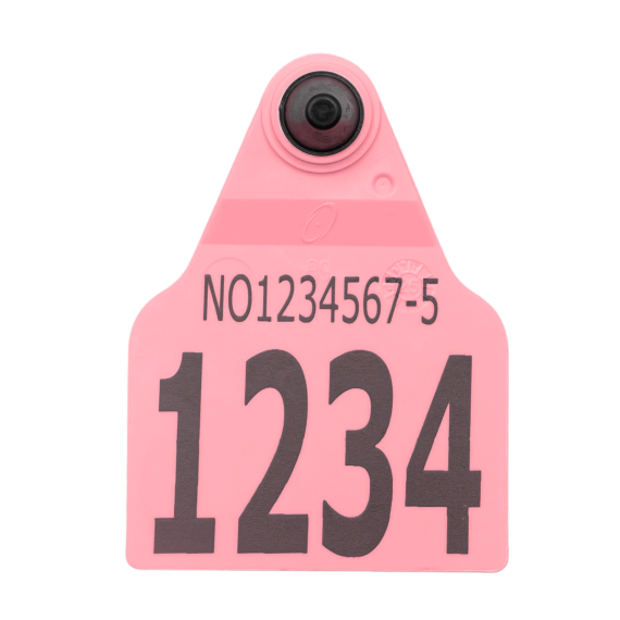 Visuelt F9Z flaggøremerke, hulldel