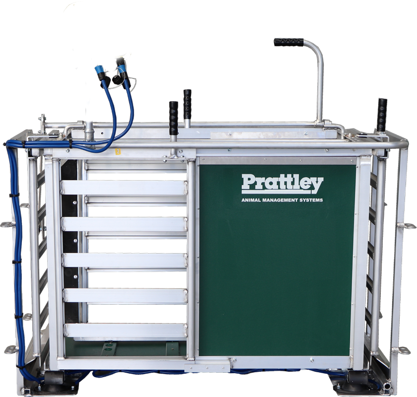 Prattley 3-veis manuell vekt